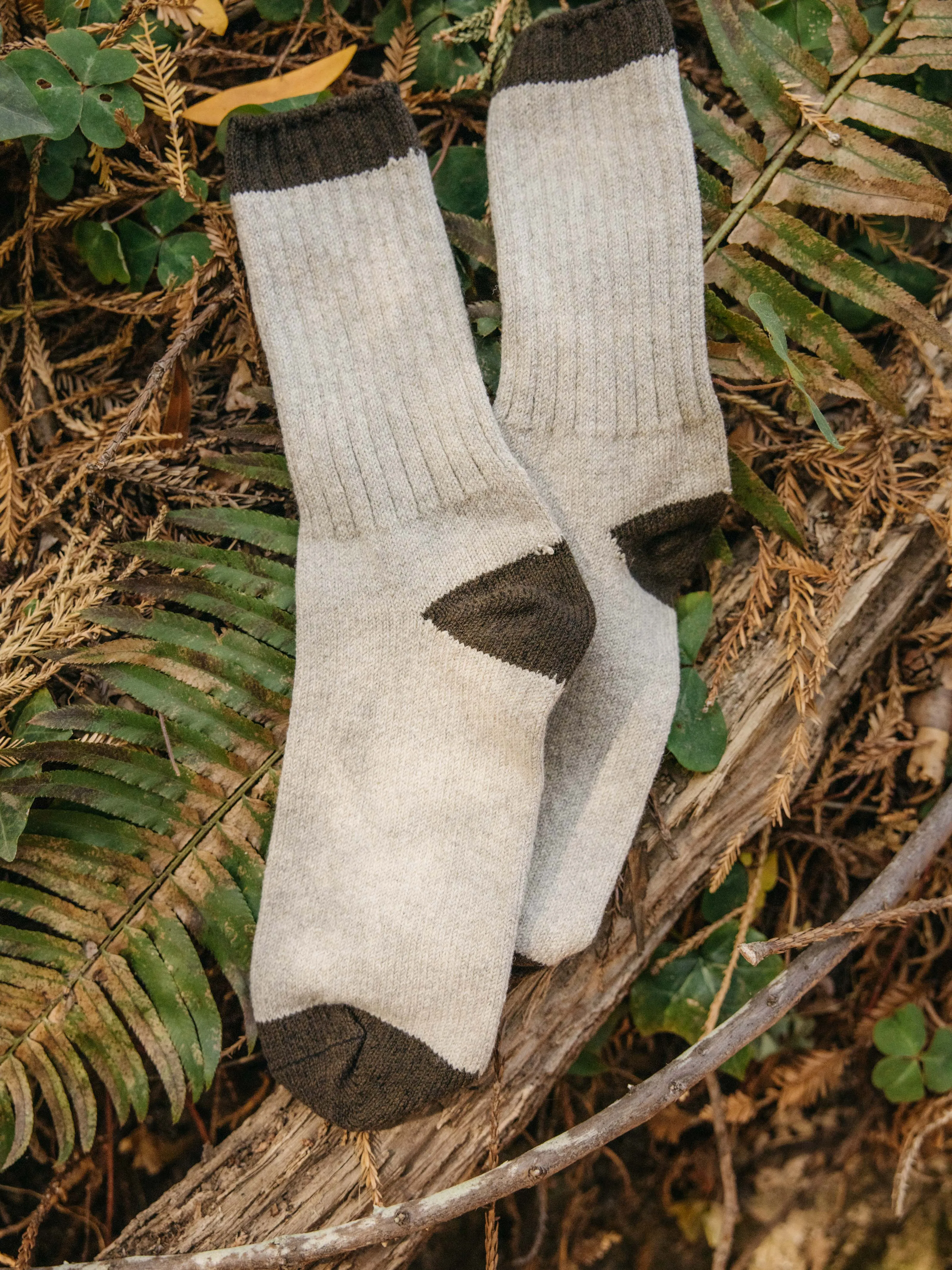 Mollusk Wool Sock