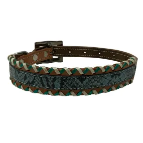 Showman Teal Python Dog Collar